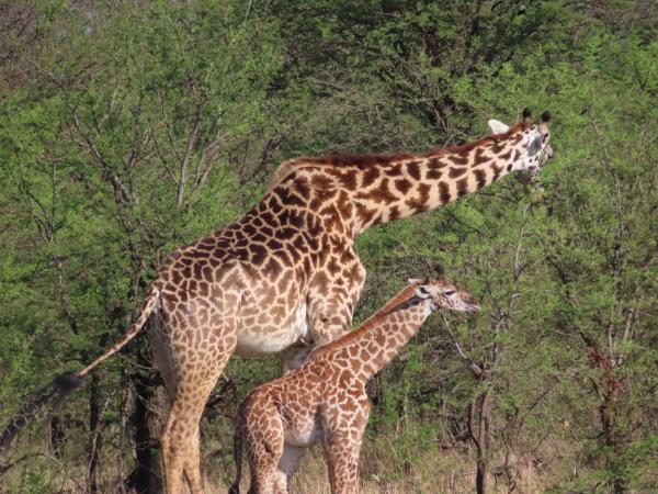 Customer photo 5 of 6. Click to open full size image.