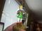 User submitted photo