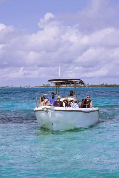 Customer photo 3 of 5. Click to open full size image.