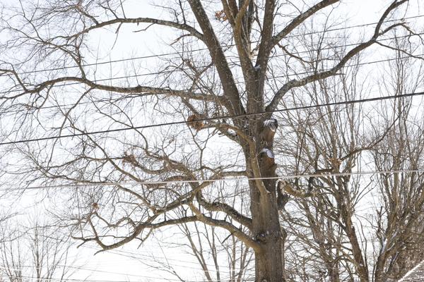 Customer photo 2 of 3. Click to open full size image.