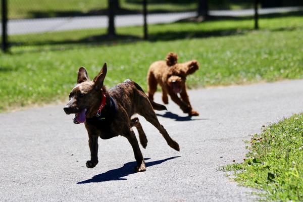 Customer photo 2 of 6. Click to open full size image.