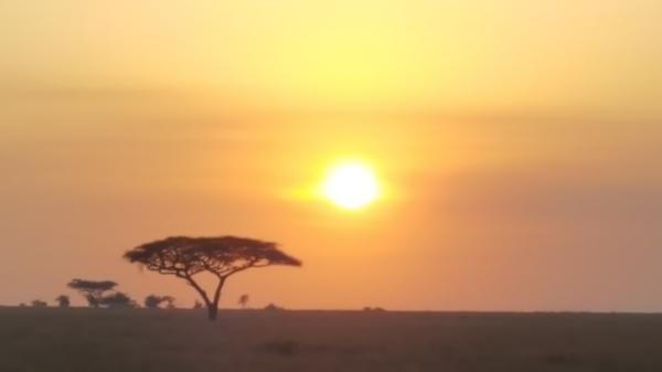 Customer photo 2 of 2. Click to open full size image.