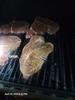 User submitted photo