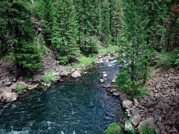 Customer photo 3 of 5. Click to open full size image.