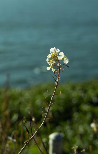 Customer photo 5 of 6. Click to open full size image.