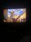 User submitted photo