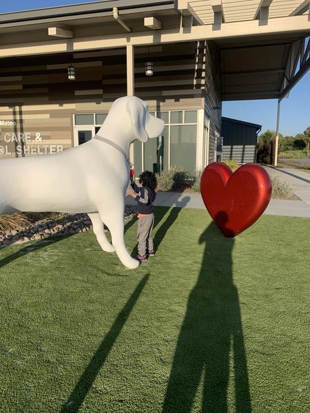 Customer photo 5 of 6. Click to open full size image.