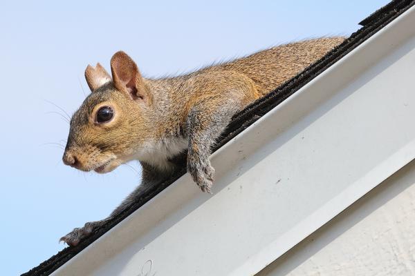 Customer photo 1 of 2. Click to open full size image.