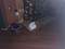 User submitted photo