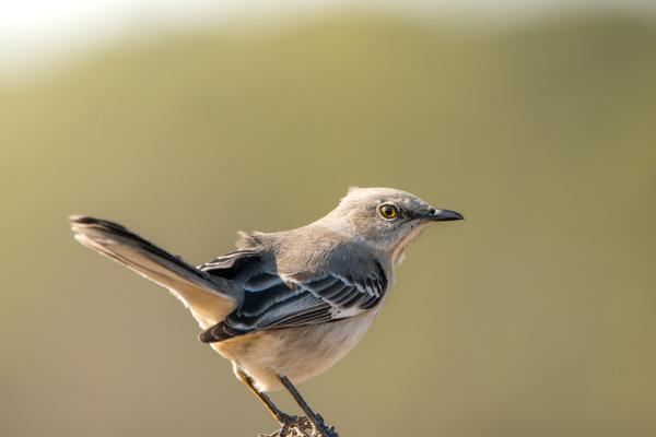 Customer photo 1 of 4. Click to open full size image.