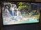 User submitted photo