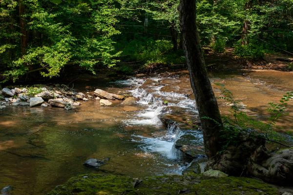 Customer photo 3 of 4. Click to open full size image.