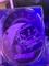 User submitted photo
