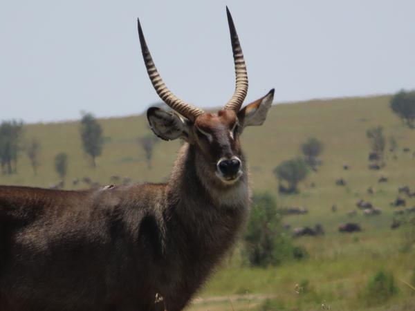 Customer photo 2 of 6. Click to open full size image.