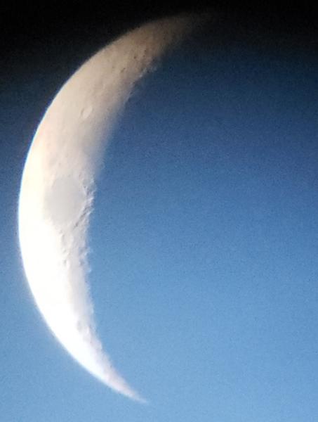 Customer photo 1 of 3. Click to open full size image.