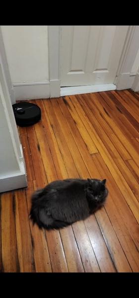 Customer photo 2 of 3. Click to open full size image.