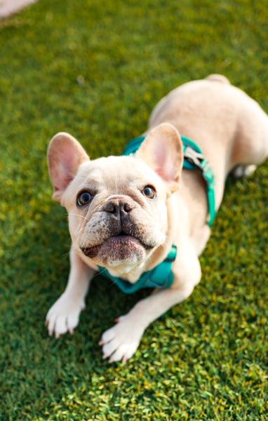 Customer photo 6 of 6. Click to open full size image.