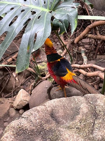 Customer photo 3 of 6. Click to open full size image.