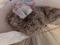 User submitted photo