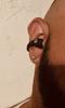 User submitted photo