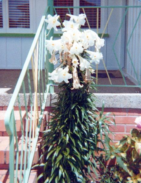 Customer photo 4 of 6. Click to open full size image.