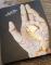 User submitted photo