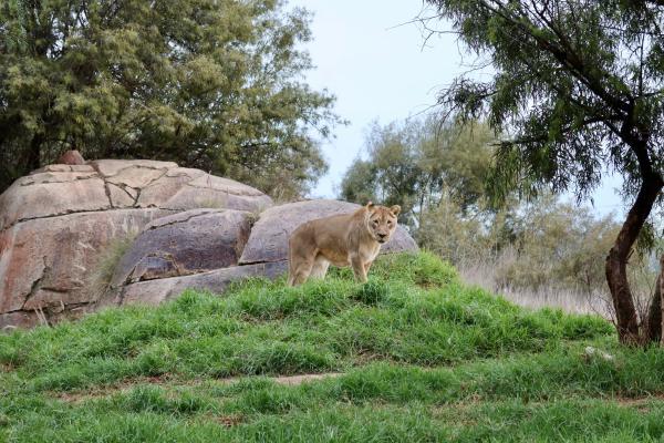 Customer photo 2 of 6. Click to open full size image.