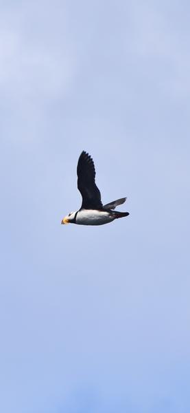 Customer photo 1 of 6. Click to open full size image.