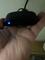 User submitted photo