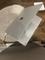User submitted photo