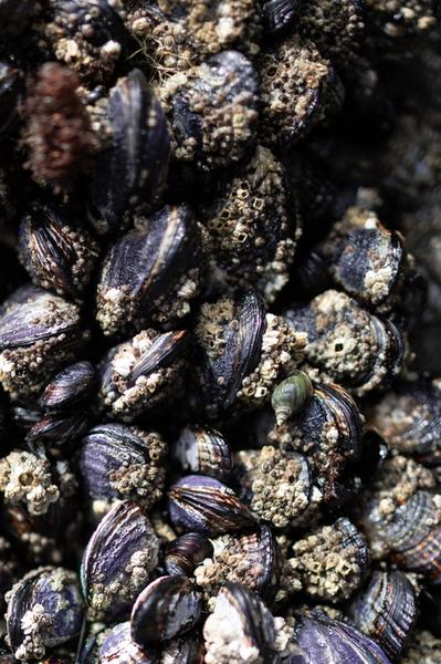 Customer photo 2 of 6. Click to open full size image.