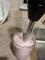 User submitted photo