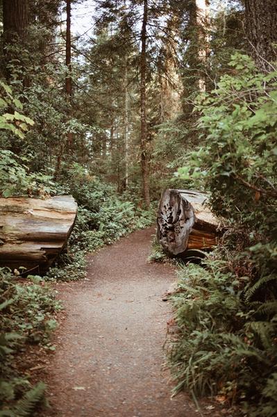 Customer photo 2 of 6. Click to open full size image.