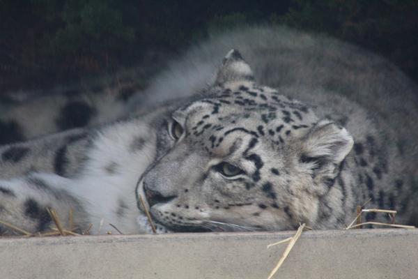 Customer photo 3 of 3. Click to open full size image.