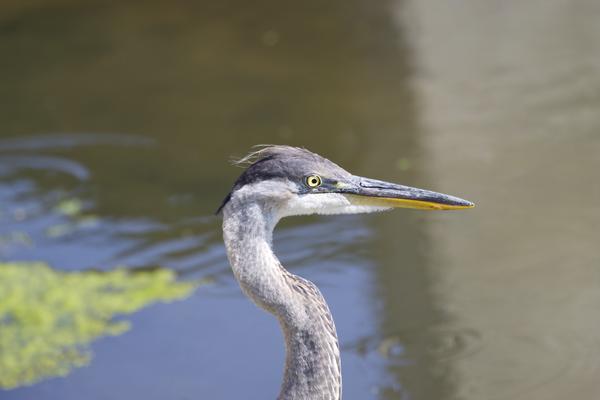 Customer photo 2 of 3. Click to open full size image.