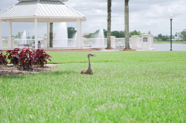 Customer photo 1 of 2. Click to open full size image.