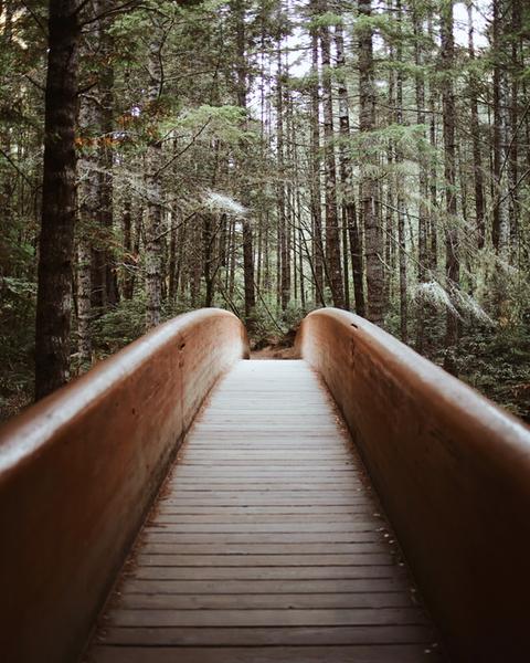 Customer photo 3 of 6. Click to open full size image.