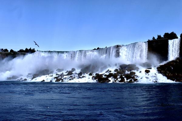 Customer photo 2 of 5. Click to open full size image.