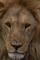 Tanzania, September 2019, click to load a larger version