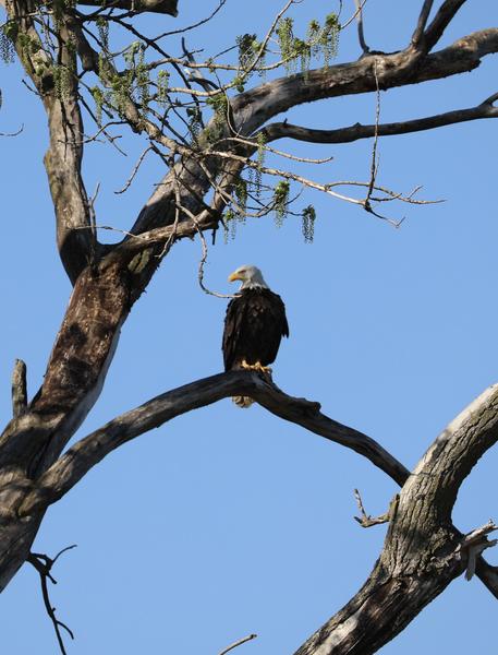 Customer photo 2 of 4. Click to open full size image.