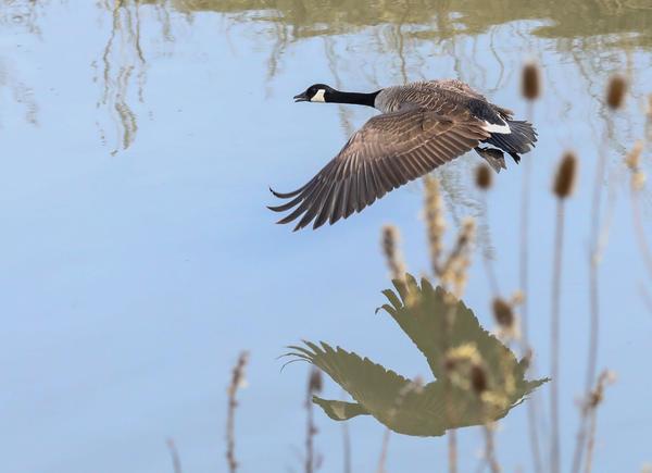 Customer photo 1 of 3. Click to open full size image.