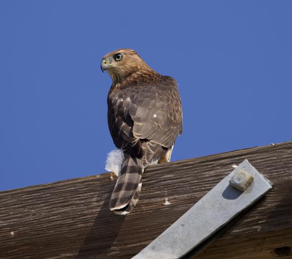 Customer photo 3 of 3. Click to open full size image.