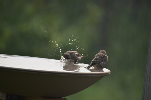 Customer photo 1 of 6. Click to open full size image.