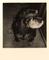 User submitted photo