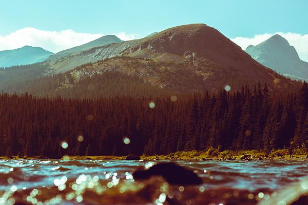 Customer photo 6 of 6. Click to open full size image.