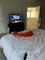 User submitted photo