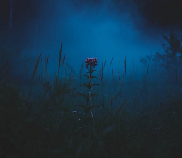 Customer photo 1 of 2. Click to open full size image.