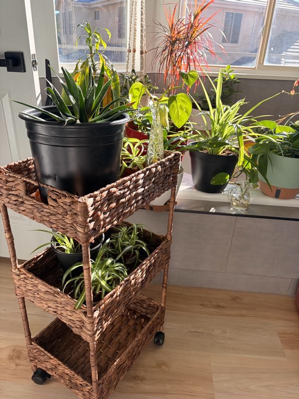 Customer carousel item 12.