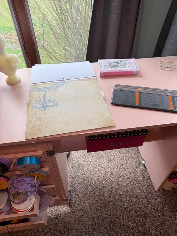 Customer carousel item 12.