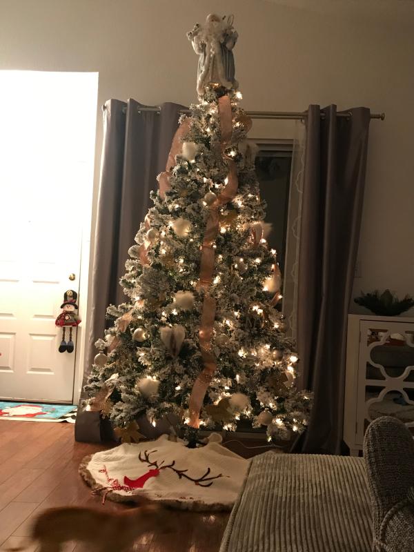 https://photos-us.bazaarvoice.com/photo/2/cGhvdG86YmVzdGNob2ljZXByb2R1Y3Rz/7f643762-9c89-5dad-9251-a4c0f539560f